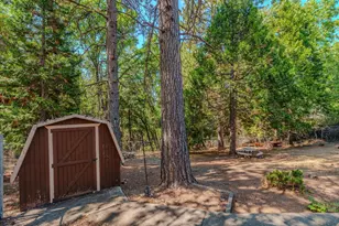 26019 Ridge Dr, Pioneer, CA 95666 - Photo 59