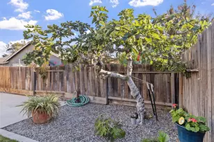 9829 Estacio Ave, Delhi, CA 95315 - Photo 31