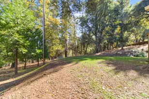 20070 Tellurium Dr, Pine Grove, CA 95665 - Photo 43