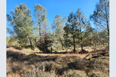 14444 Labadie Way, Dobbins, CA 95935 - Photo 15