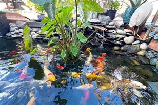 1059 Harvest Mill Dr, Manteca, CA 95336 - Photo 27