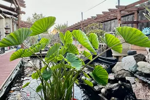 1059 Harvest Mill Dr, Manteca, CA 95336 - Photo 19