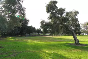 8017 Glen Tree Dr, Citrus Heights, CA 95610 - Photo 35