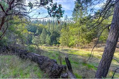 26355 Barb Wire Lane, Colfax, CA 95713 - Photo 1