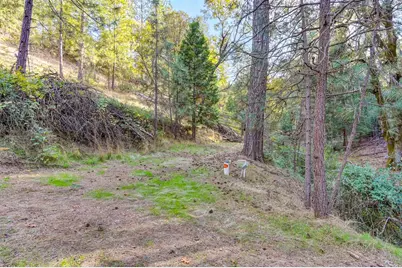 26355 Barb Wire Lane, Colfax, CA 95713 - Photo 3