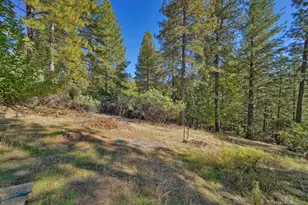 6128 Scott Rd, Placerville, CA 95667 - Photo 3