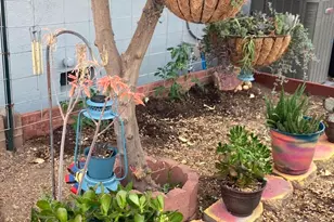 1105 W G St, Oakdale, CA 95361 - Photo 25