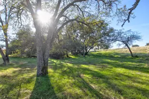 11120 Courier Rd, Plymouth, CA 95669 - Photo 59