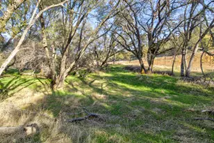 11120 Courier Rd, Plymouth, CA 95669 - Photo 57