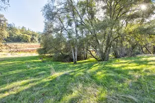 11120 Courier Rd, Plymouth, CA 95669 - Photo 57
