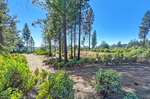 19292 Shawnee Trail, Mokelumne Hill, CA 95245 - Photo 21