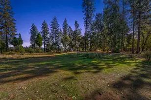 19292 Shawnee Trail, Mokelumne Hill, CA 95245 - Photo 13