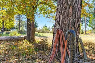 19292 Shawnee Trail, Mokelumne Hill, CA 95245 - Photo 11