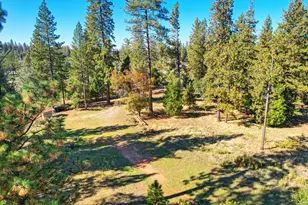 19292 Shawnee Trail, Mokelumne Hill, CA 95245 - Photo 15