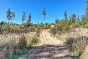 19292 Shawnee Trail, Mokelumne Hill, CA 95245 - Photo 31