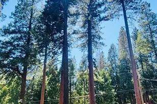 4321 Lakeridge Dr, Pollock Pines, CA 95726 - Photo 33