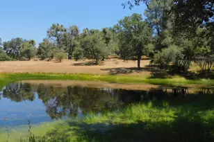 5383 Dream Ranch Cir, Placerville, CA 95667 - Photo 95
