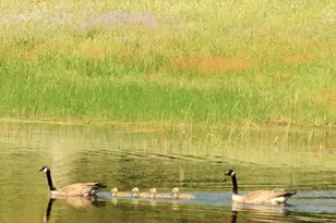 5383 Dream Ranch Cir, Placerville, CA 95667 - Photo 17