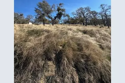 3930 Dunn Road, Valley Springs, CA 95252 - Photo 5