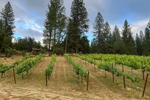 5205 Rooster Ln, Somerset, CA 95684 - Photo 93