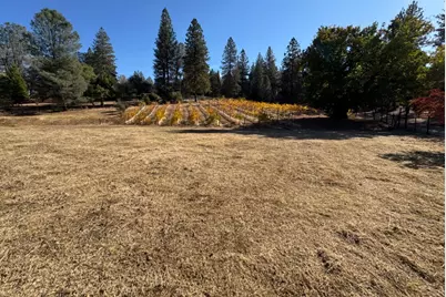 5205 Rooster Lane, Somerset, CA 95684 - Photo 95