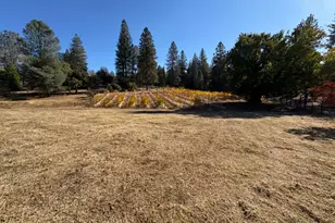 5205 Rooster Ln, Somerset, CA 95684 - Photo 95