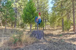 5205 Rooster Ln, Somerset, CA 95684 - Photo 79