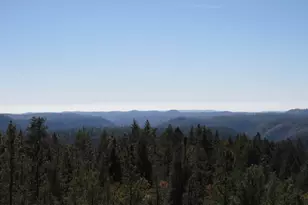 31180 Knob Cone Rd, Gold Run, CA 95717 - Photo 39