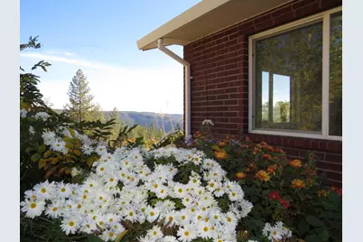 31180 Knob Cone Road, Gold Run, CA 95717 - Photo 61