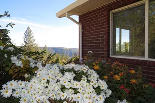 31180 Knob Cone Rd, Gold Run, CA 95717 - Photo 61