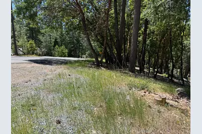 20955 Todd Valley Road, Foresthill, CA 95631 - Photo 5