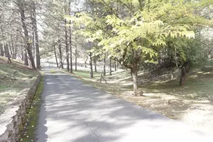 4617 Ringold Rd, Diamond Springs, CA 95619 - Photo 9