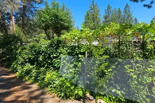 Gladycon Rd, Colfax, CA 95713 - Photo 21
