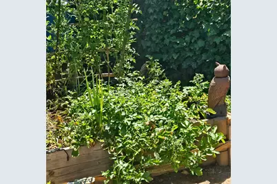 Gladycon Road #32, Colfax, CA 95713 - Photo 11