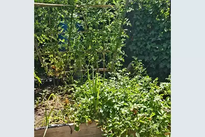 Gladycon Road #32, Colfax, CA 95713 - Photo 17