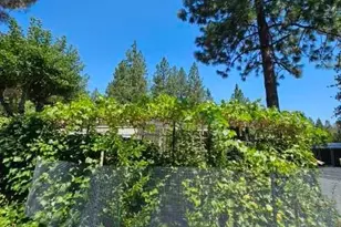 Gladycon Rd, Colfax, CA 95713 - Photo 13