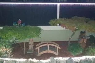 Gladycon Rd, Colfax, CA 95713 - Photo 25