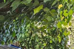 Gladycon Rd, Colfax, CA 95713 - Photo 23