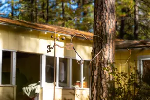 1130 Sage Rd, Colfax, CA 95713 - Photo 69