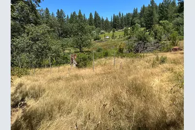 3620 Graybar Mine Road, Garden Valley, CA 95633 - Photo 3