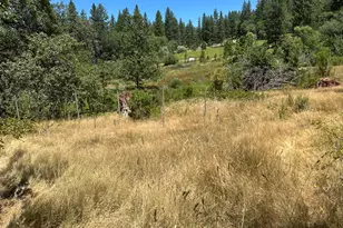 3620 Graybar Mine Rd, Garden Valley, CA 95633 - Photo 3