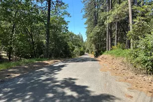 3620 Graybar Mine Rd, Garden Valley, CA 95633 - Photo 23