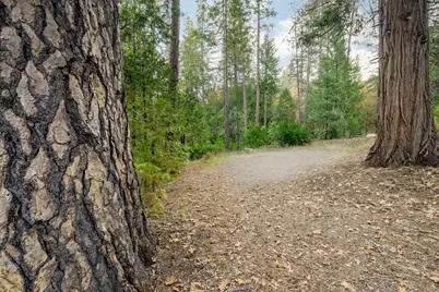 10376 Smith Road, Grass Valley, CA 95949 - Photo 23