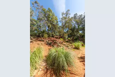 2000 Tegra Road, Cool, CA 95614 - Photo 9