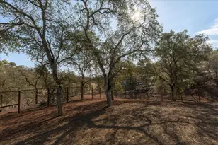 1284 Acorn St, Copperopolis, CA 95228 - Photo 41