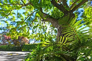 274 Huntley Ave, Auburn, CA 95603 - Photo 7