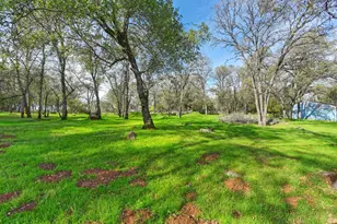 1811 Little Creek Rd, Auburn, CA 95602 - Photo 49