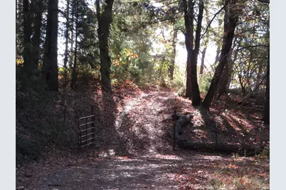 0 Steamers Ravine Road, Colfax, CA 95713 - Photo 5