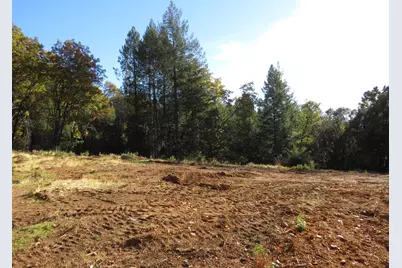 0 Steamers Ravine Road, Colfax, CA 95713 - Photo 15