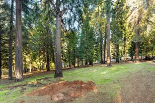 5819 Lynx Trail, Pollock Pines, CA 95726 - Photo 21